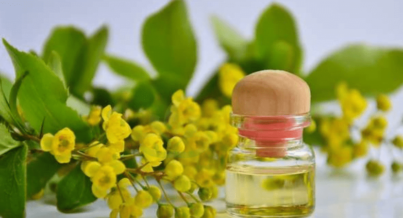 naturopathy treatment