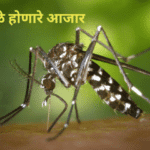 Mosquito borne diseases- arogyamdhansampda