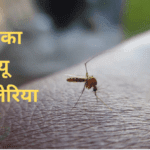 डेंग्यू, मलेरिया आणि झिका या आजारांची लक्षणे आणि उपचार